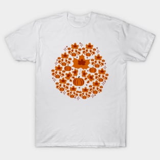 Autumn leaves pumpkin T-Shirt